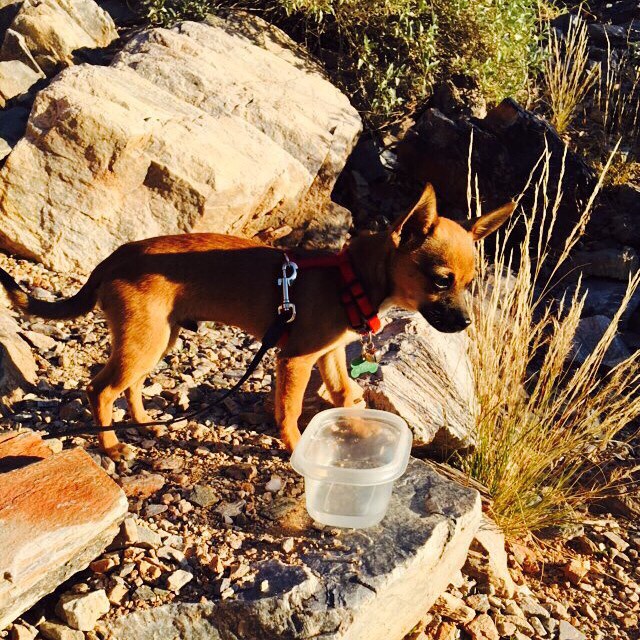 Took Pablo for a short hike.