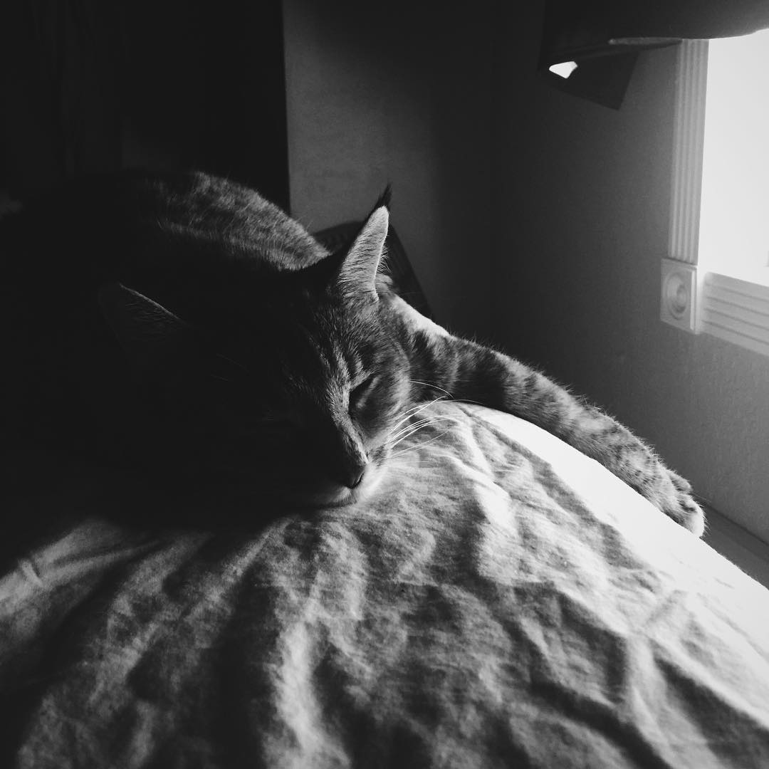 Neither of us want to get out of bed.