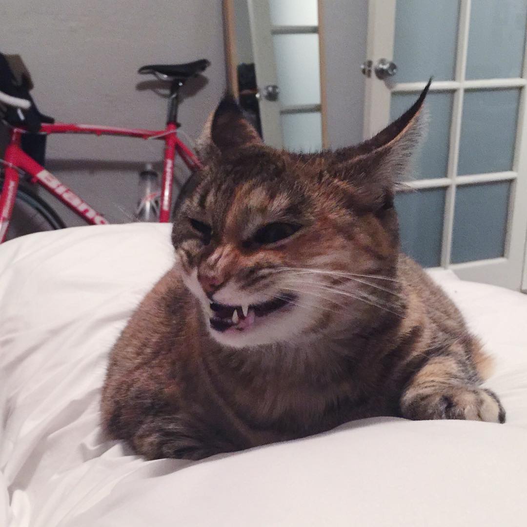 Post yawn snapshot.