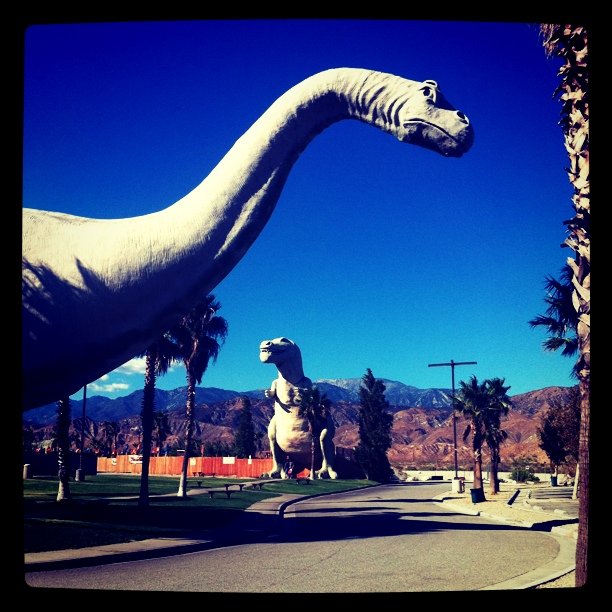 Can’t believe this is a creationist museum.
