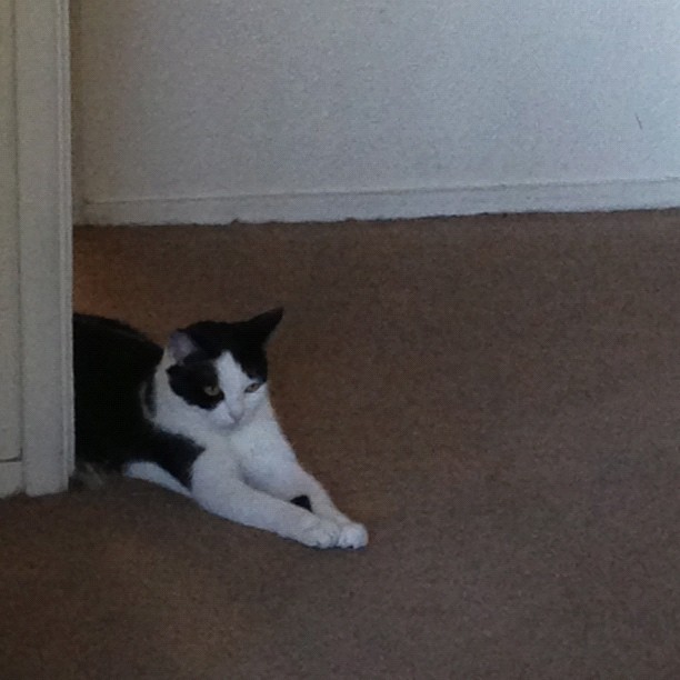 Waiting. Watching. Scheming.