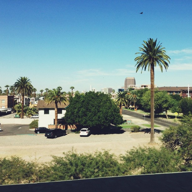 View from my new desk area.