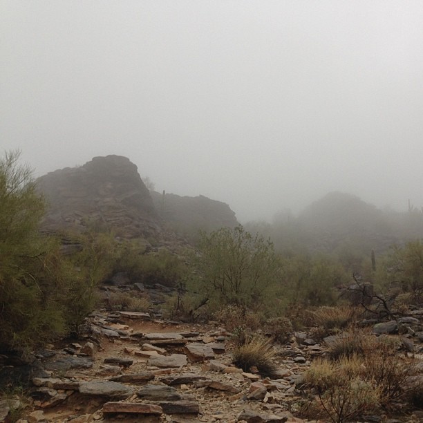 Spontaneous hike.