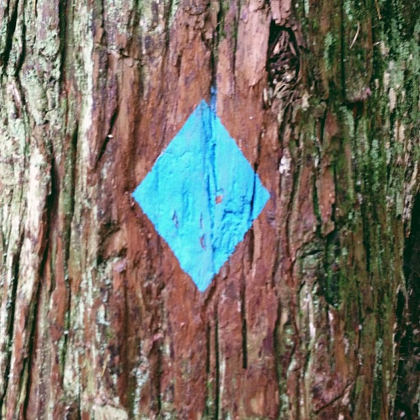 Trail marker.