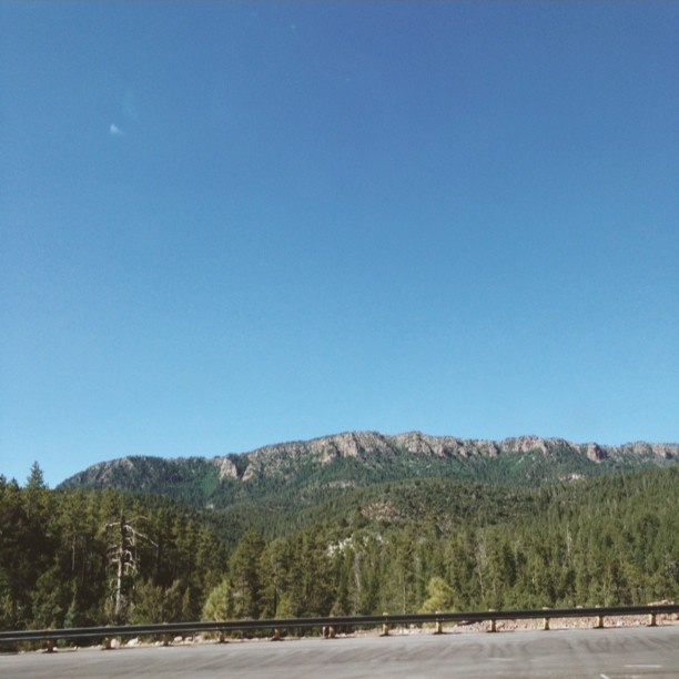 Mogollon Rim