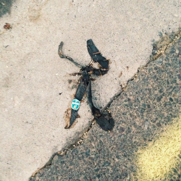 Found this on a run.