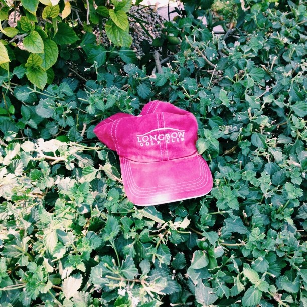 Free hat.