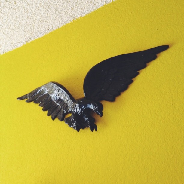 Finally hung this eagle up!