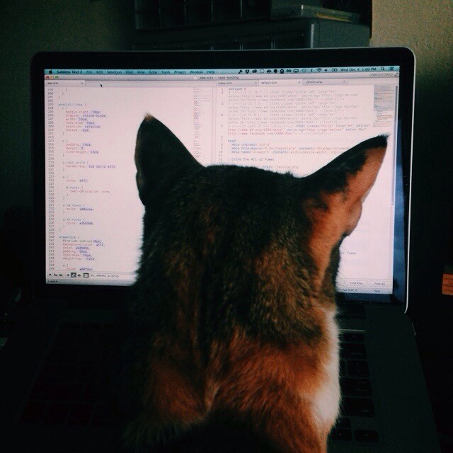 She’s taken an interest in coding.