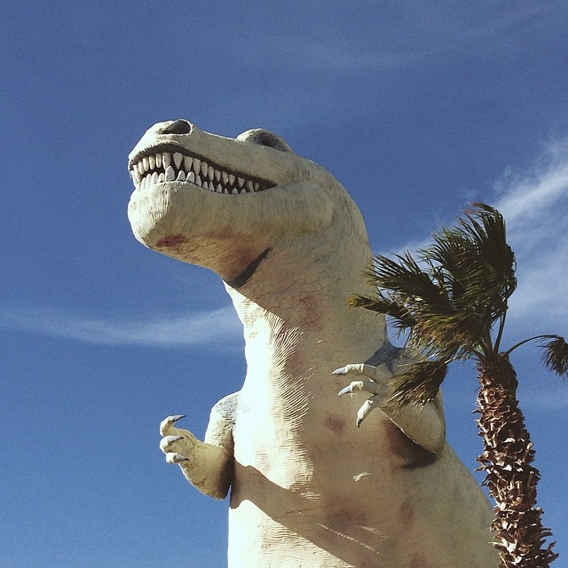 Obligatory cabazon dinosaur picture.