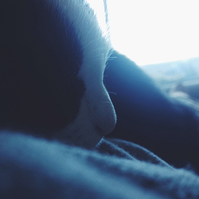 Nap time.