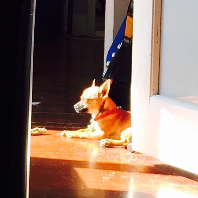 Getting some rays.