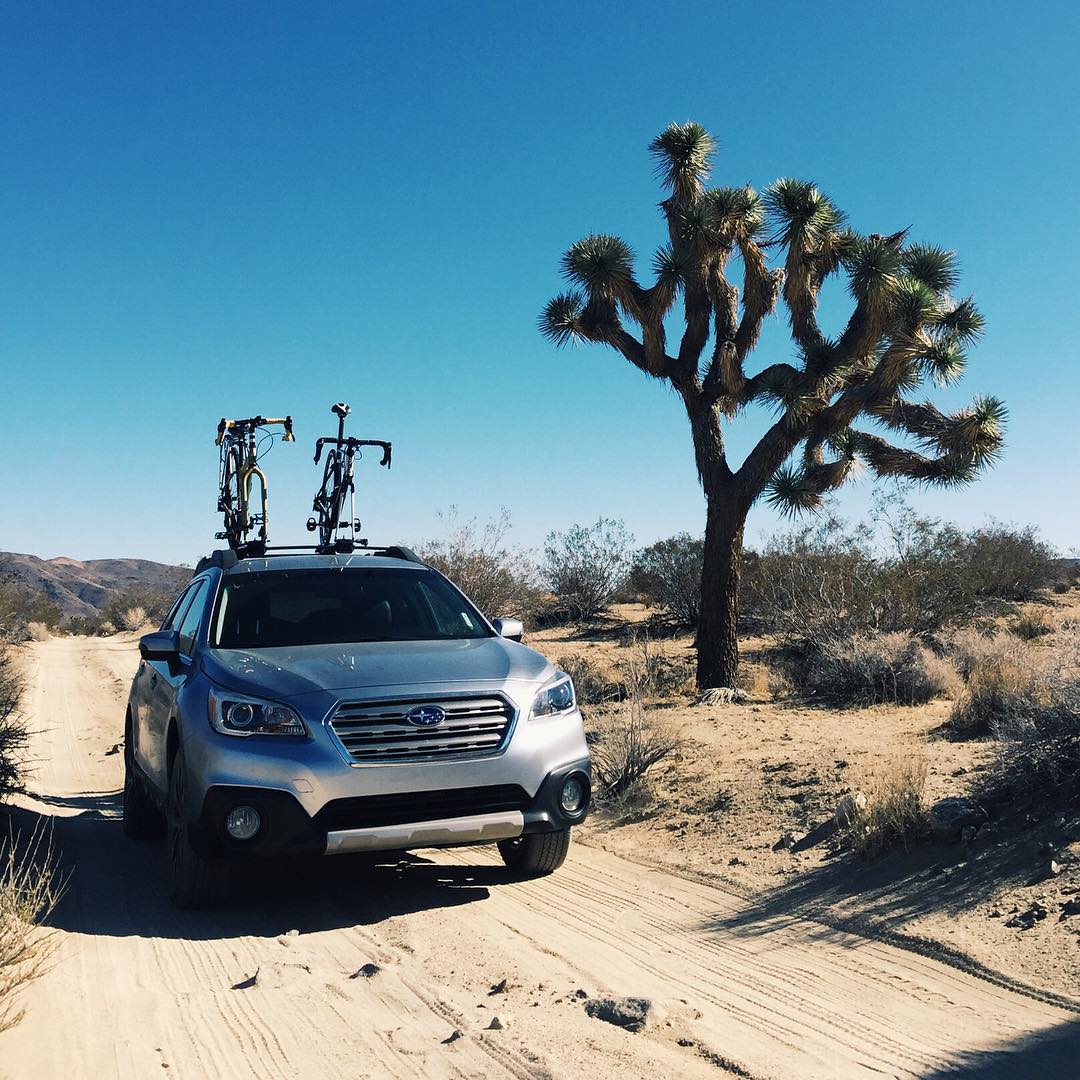 Spent the weekend in Joshua Tree. It was excellent and mighty cold.
