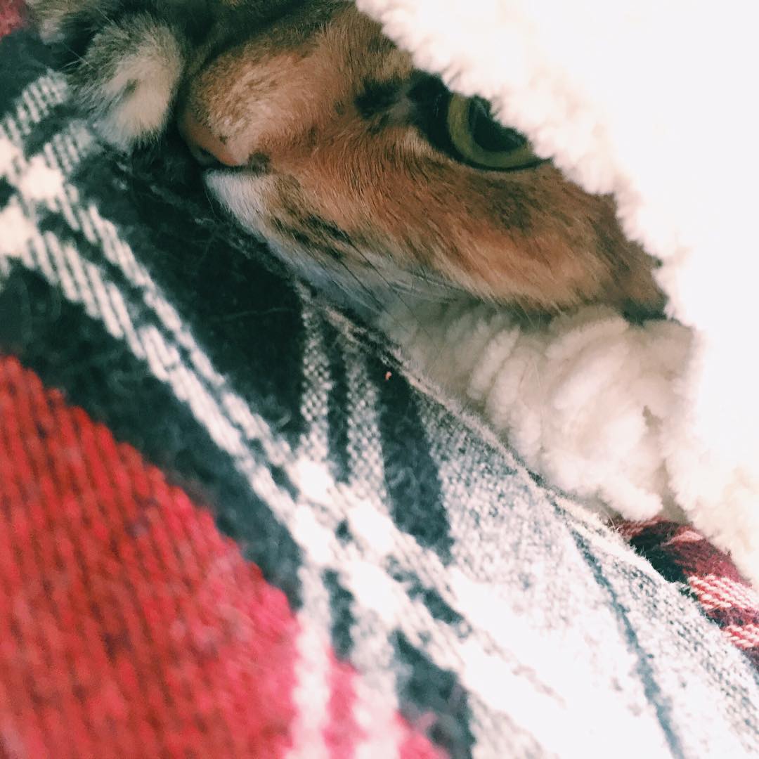 Resting.