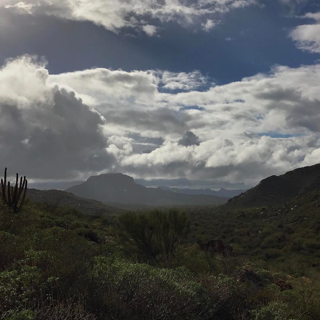 Anyone who says the desert isn’t beautiful come fight me.