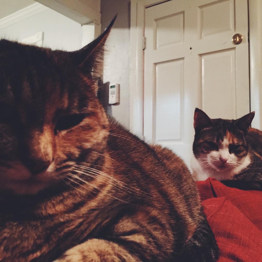 Livin’ with my bitches