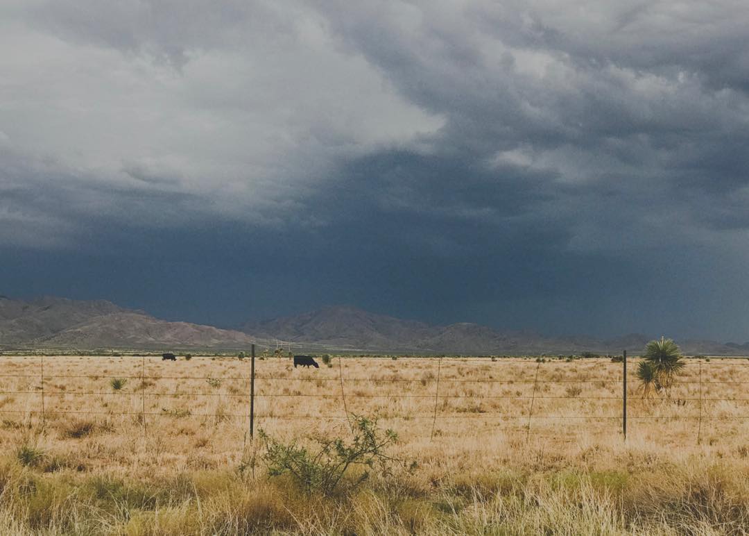 Out by Bonita.
