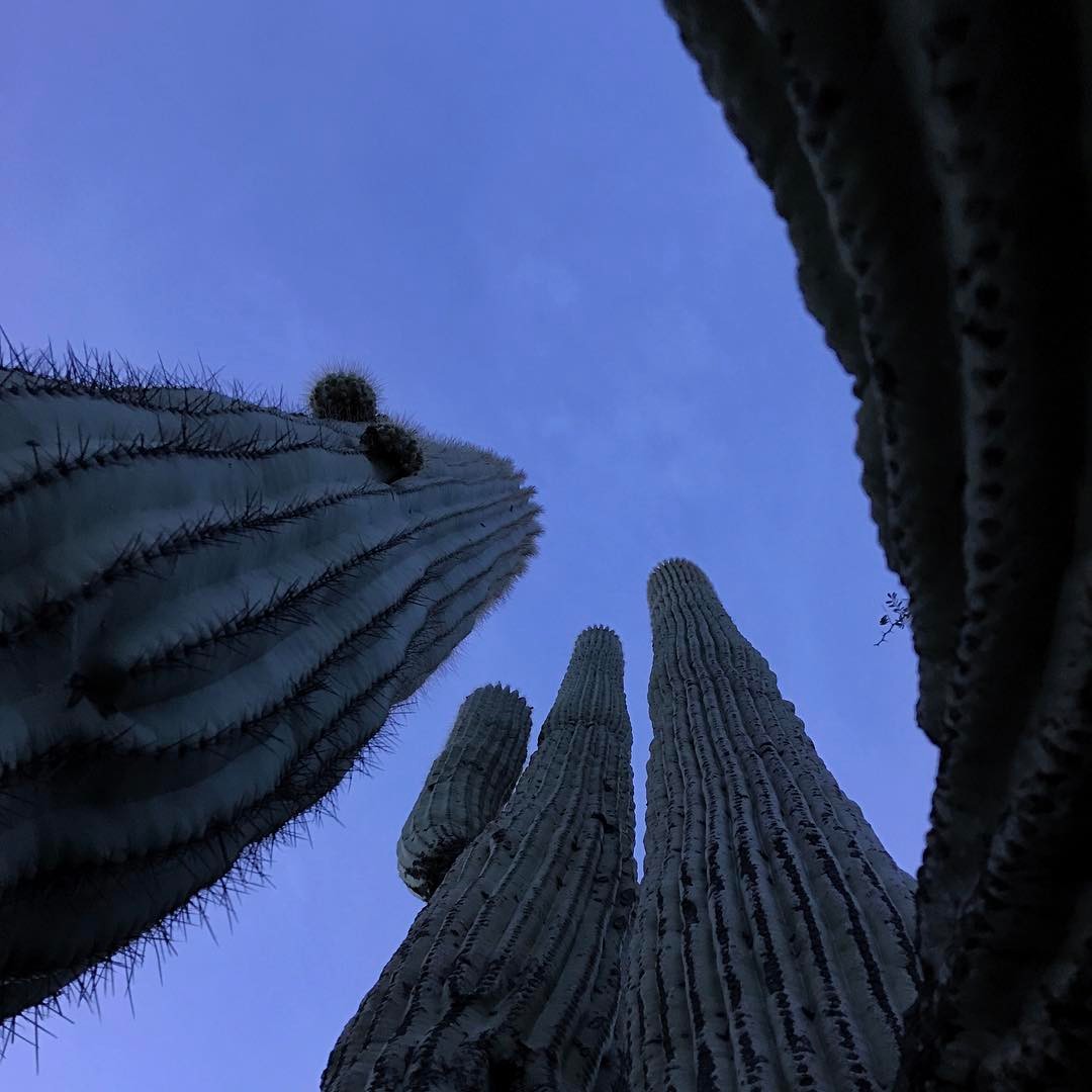 Look up.
