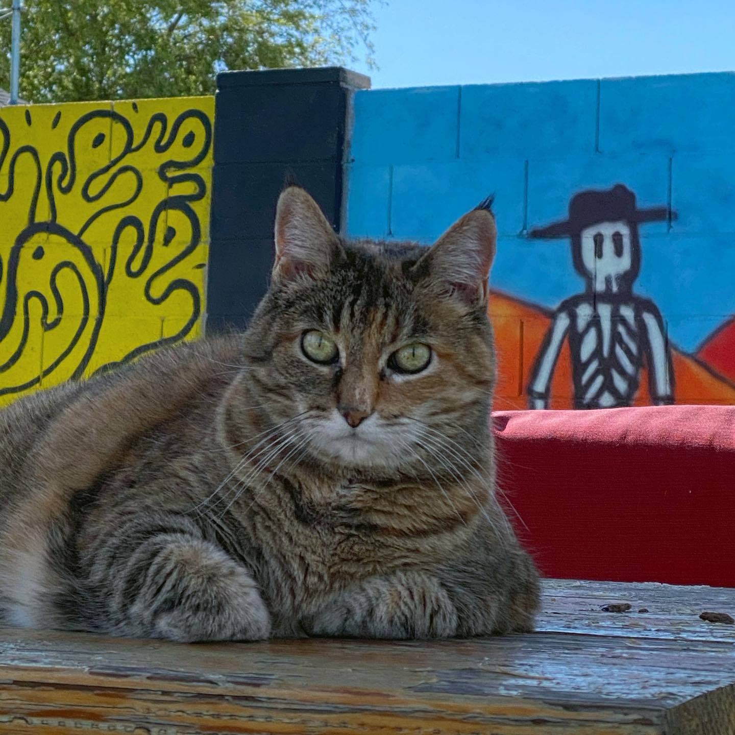 She’s not impressed that I was playing video games outside.