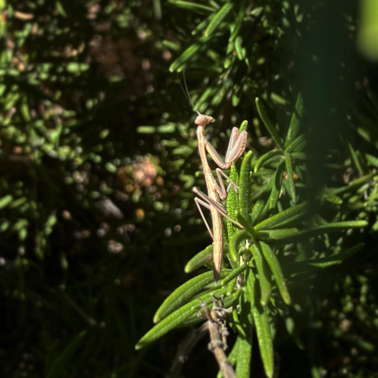 A visitor.