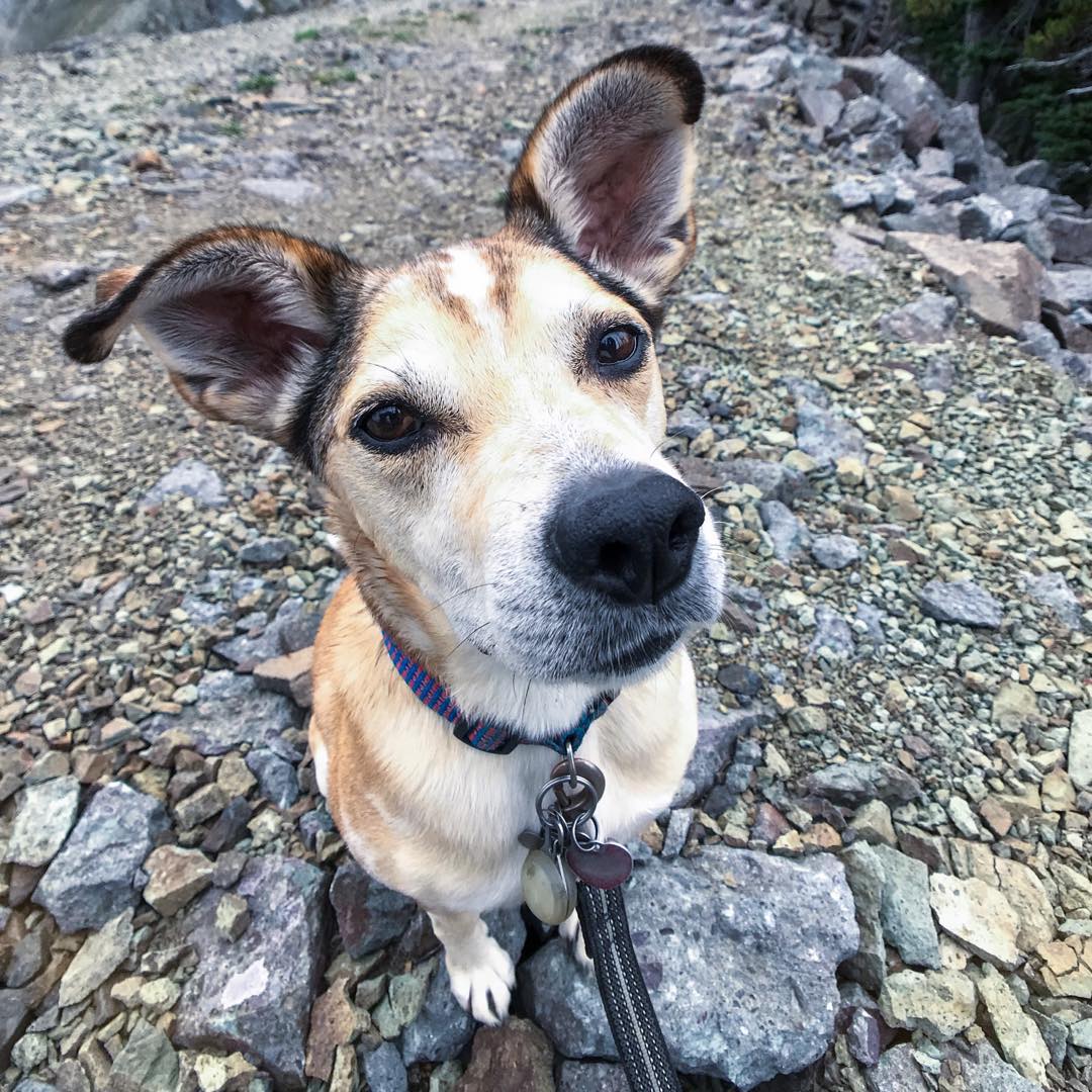 Don’t forget the trail snacks…or else.