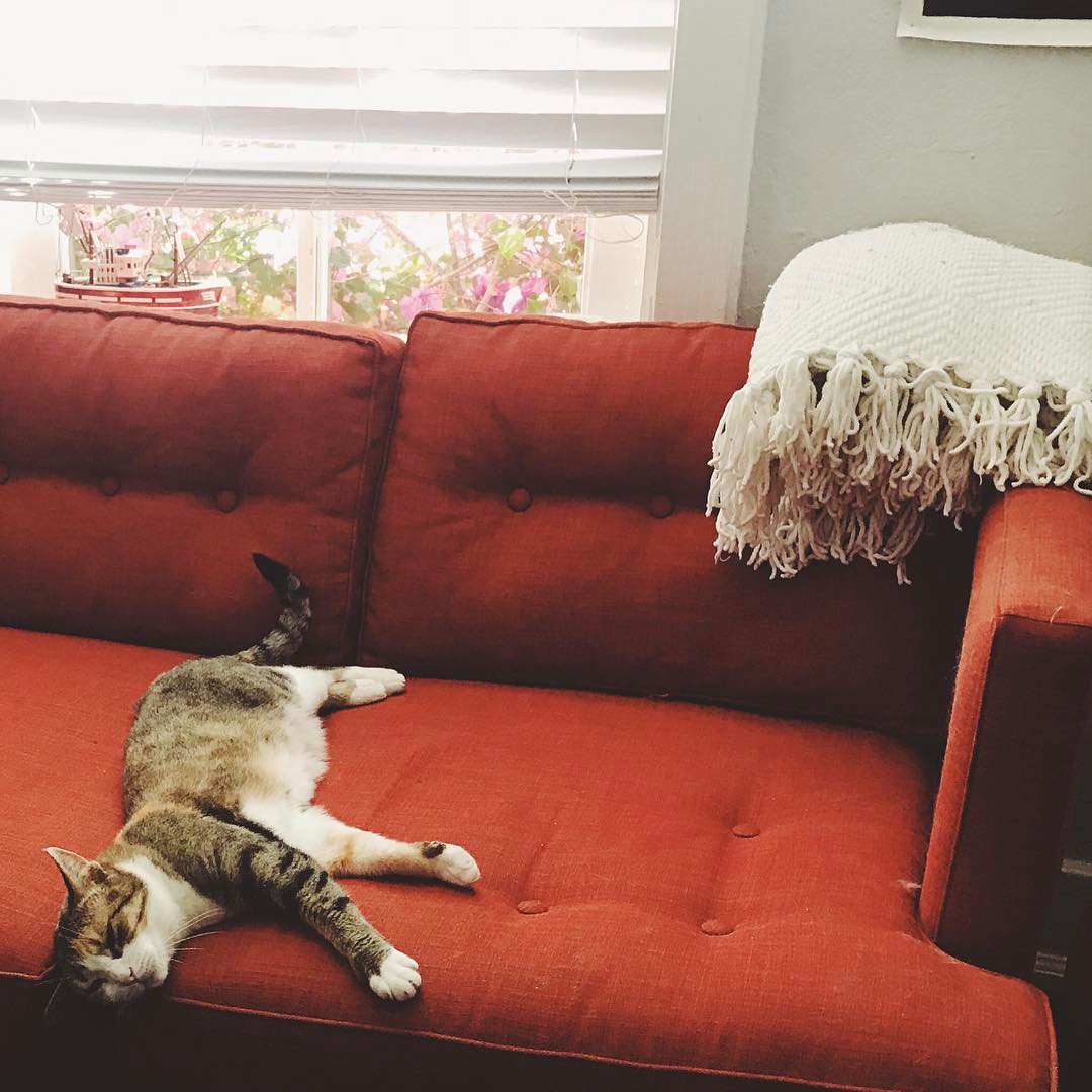 Sunday vibes.