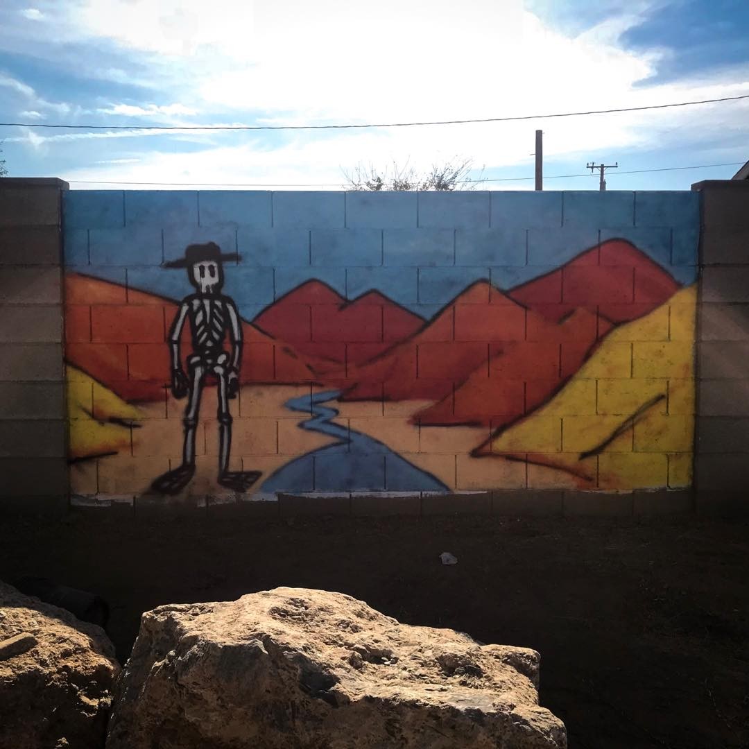 Yesterday I painted one of the walls in my yard. It was fun working at a larg…