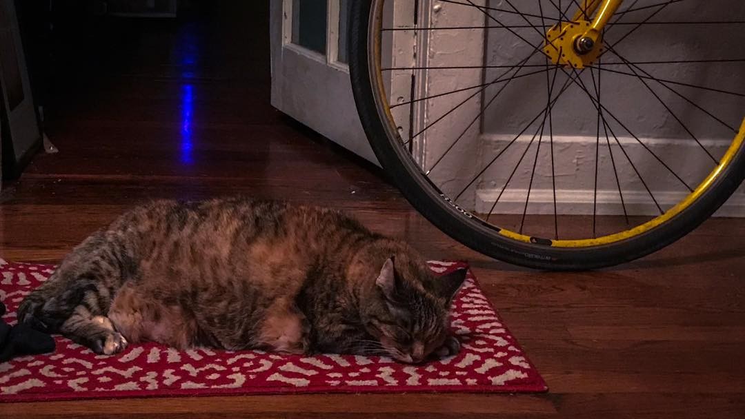 Kit