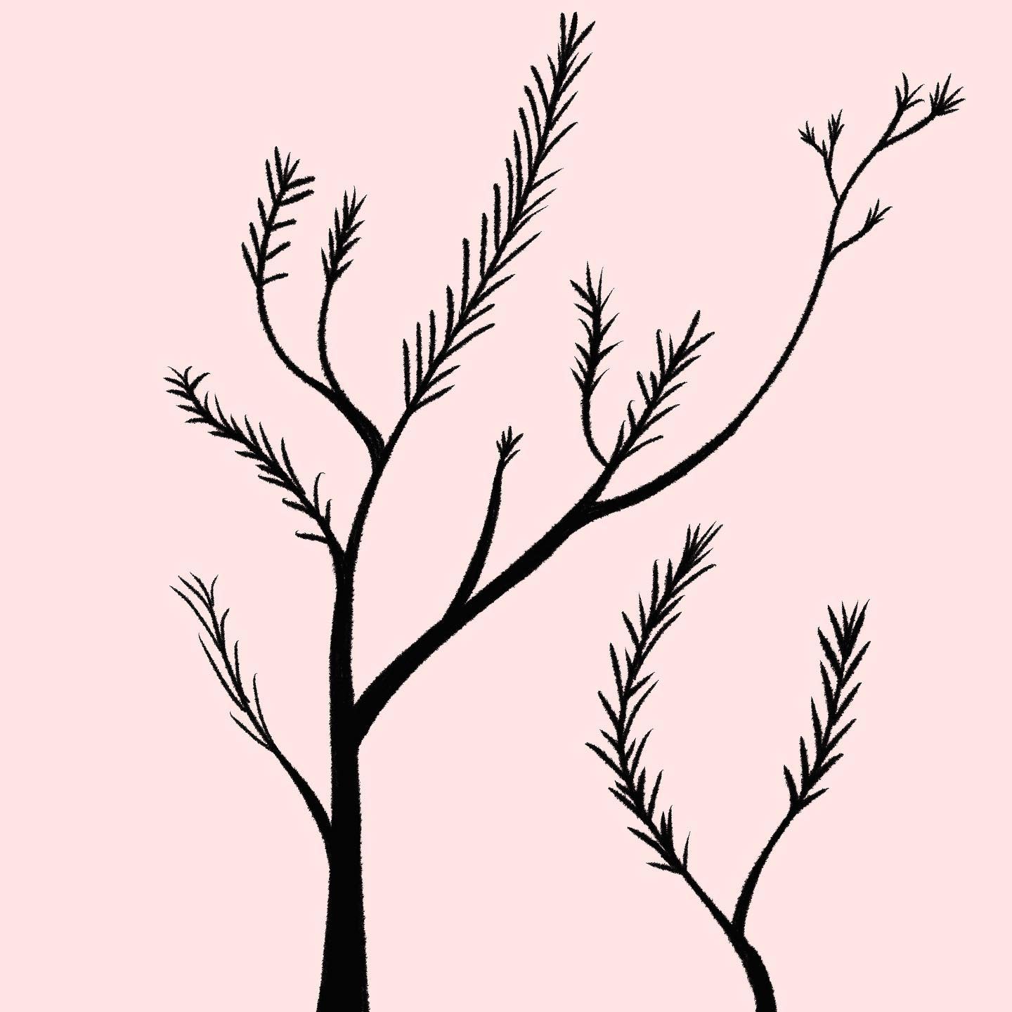 🌿