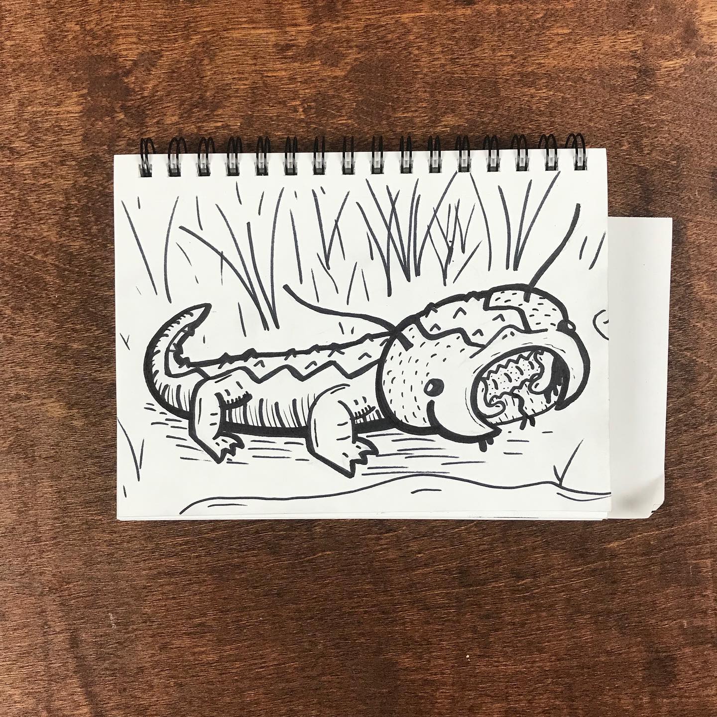 Catergators and gatorpillars! Two unexpected creations from yesterday’s lives…