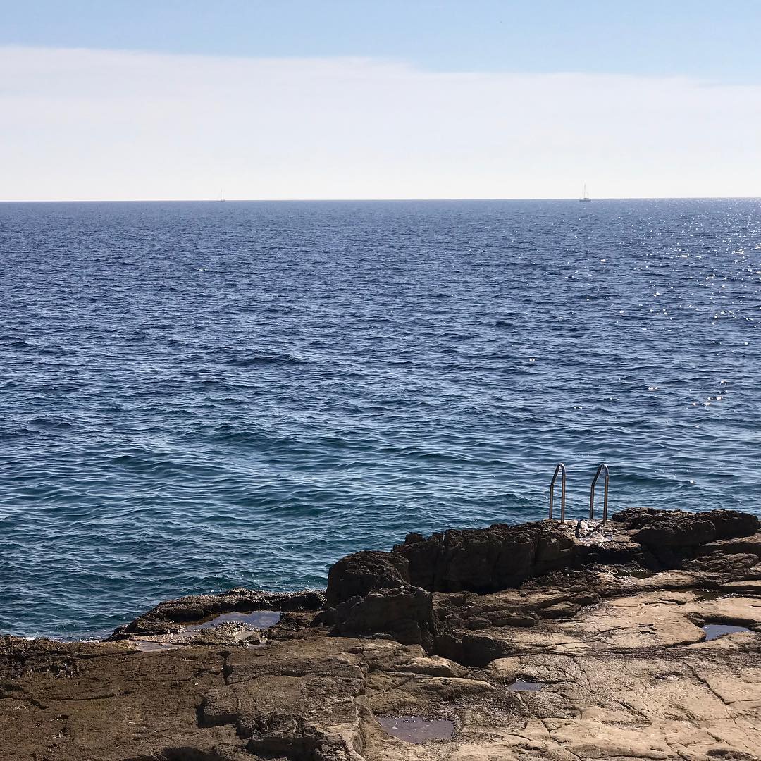 Went for a swim today.