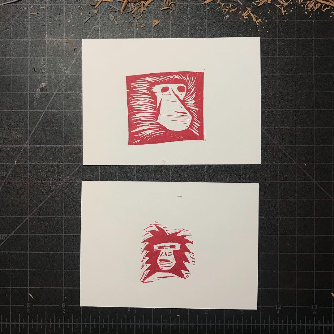 Forgot to share these baboons last night