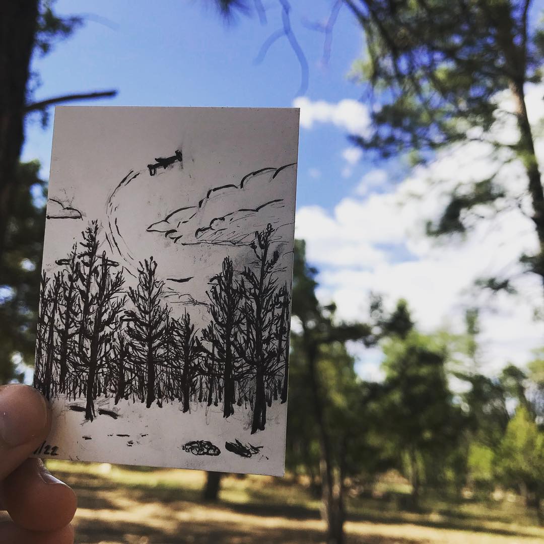 This weekends highlights include wild horses, deer, friendly hummingbirds, an…
