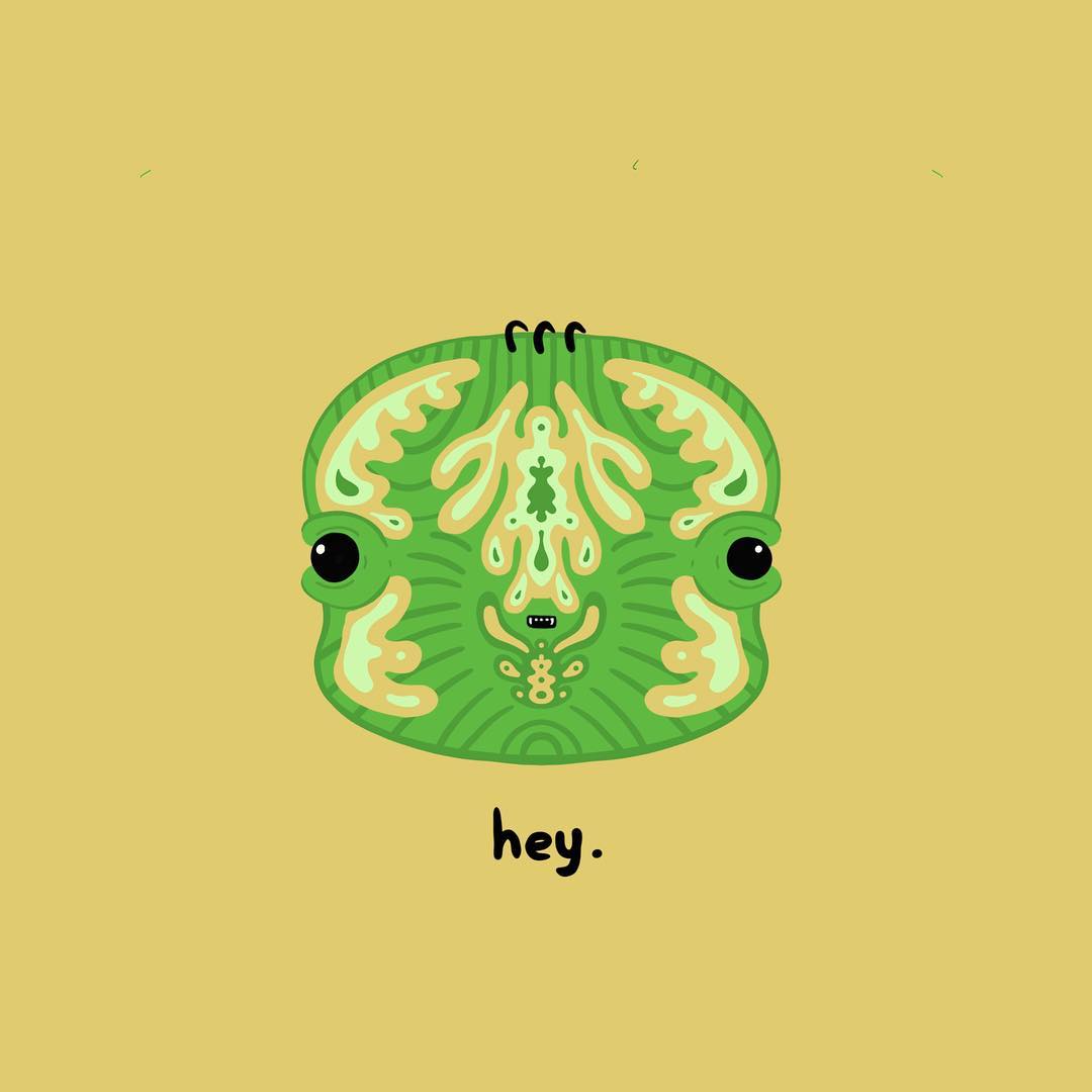 hey.