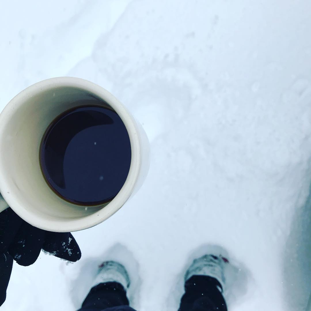Taking a morning stroll through the snow.