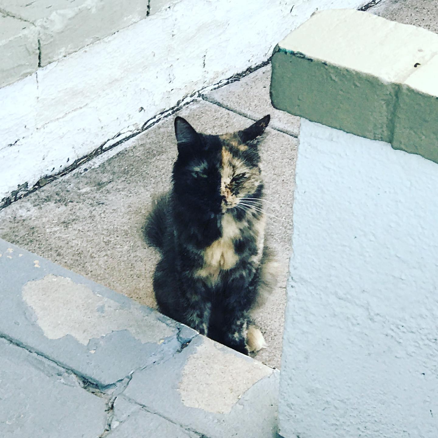 This fella is back.