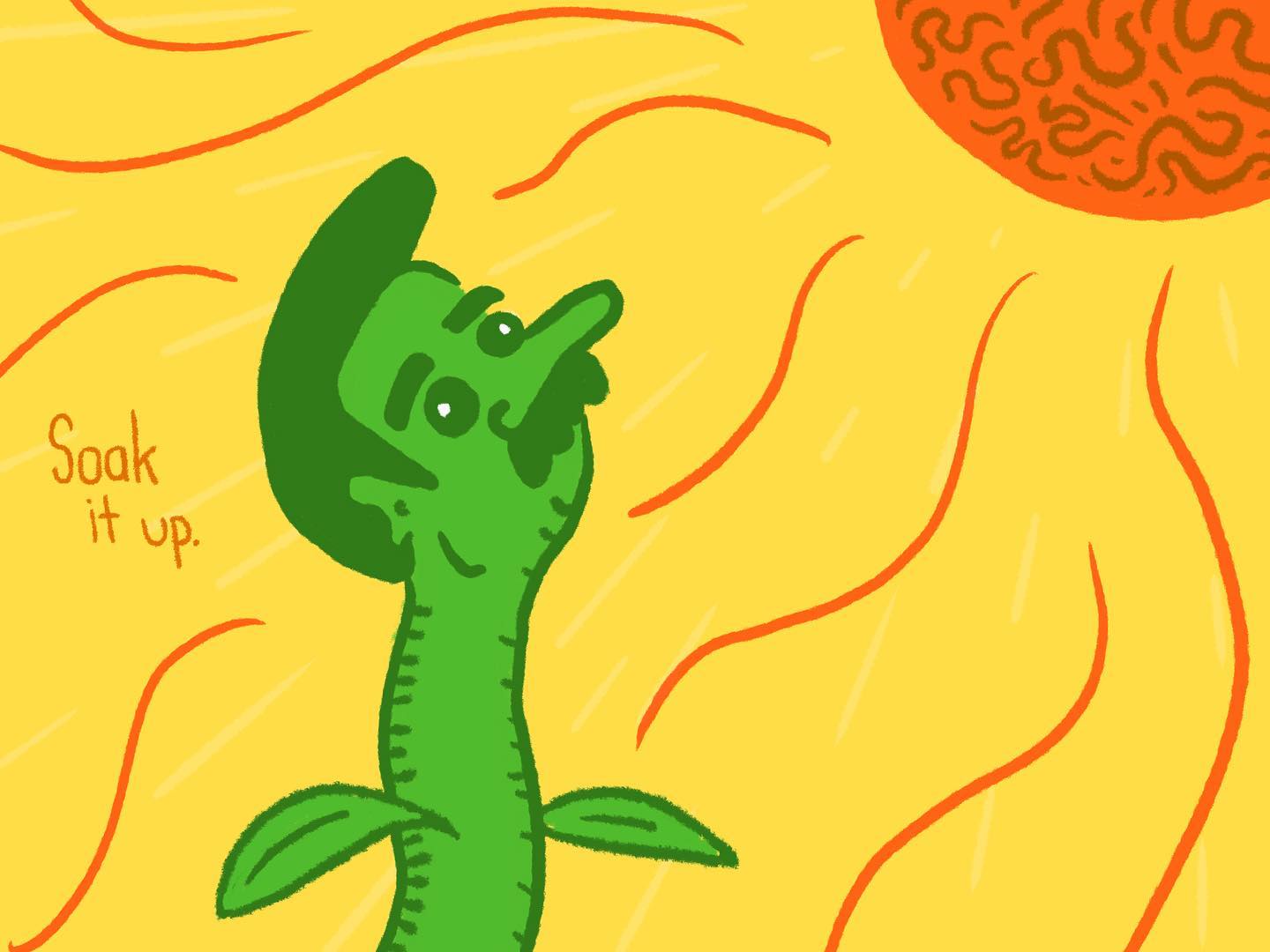 Don’t forget to wear sunscreen!
