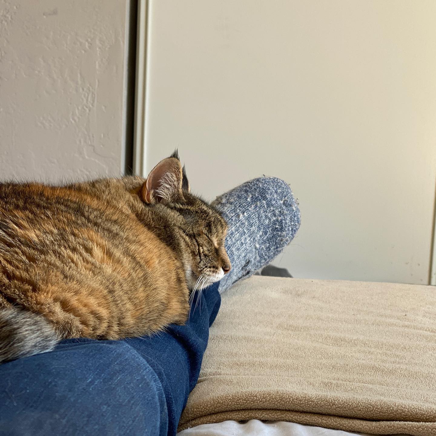 There’s always time for a nap.