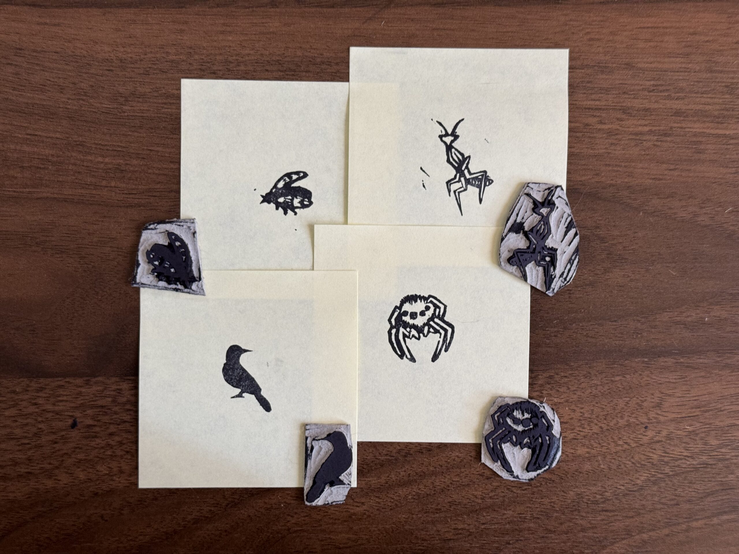 prints of a jumping spider, a finch, a praying mantis, and a beetle