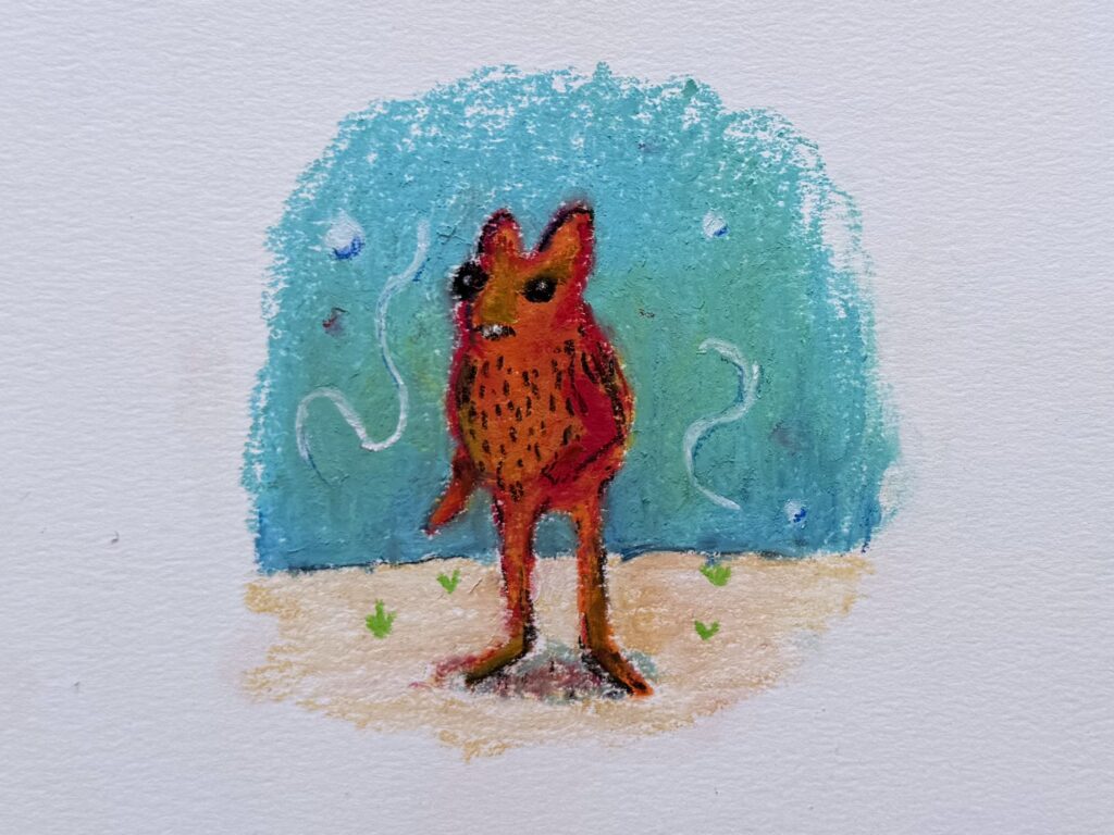 a reddish orange fella in what appears to be circled by some squiggles and orbs. what is going on?