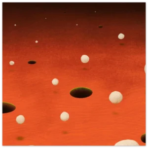 Wholes 25x25 cm / 10x10″